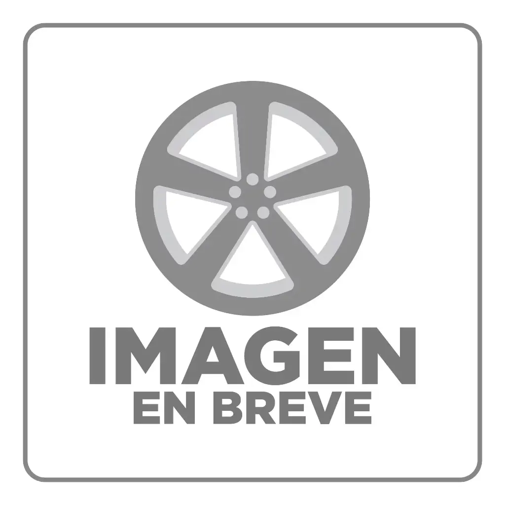 RIN 22X9 6-139.7 R1 SPORT QC1858 GLOSS BLACK ET10 CB106.1